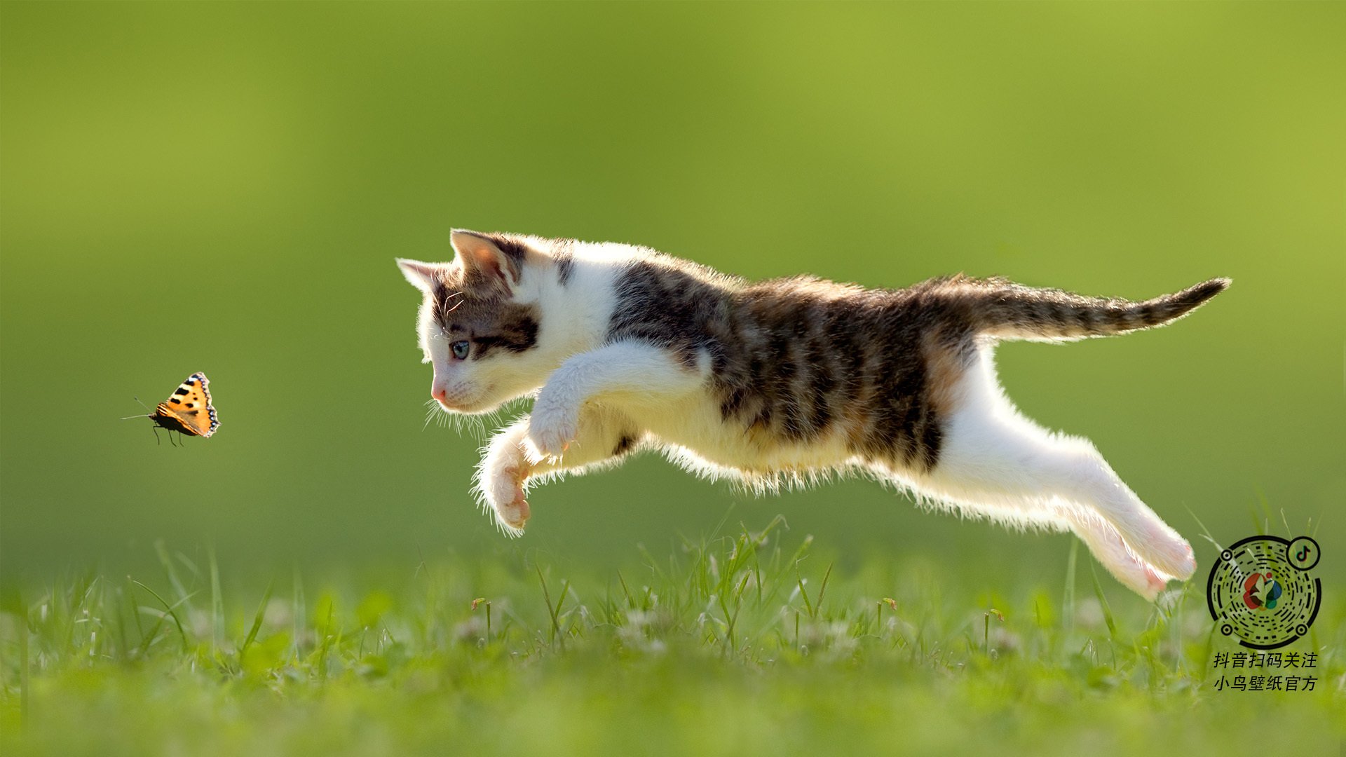 迪亚斯主宰比赛走向，拉齐奥决胜局带走沙特