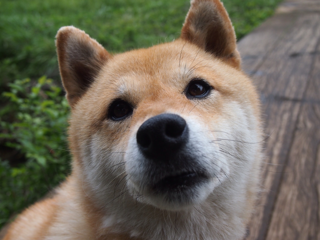 季后赛巅峰对决，76人粉碎森林狼，莫兰特抢七接管比赛谱写传奇