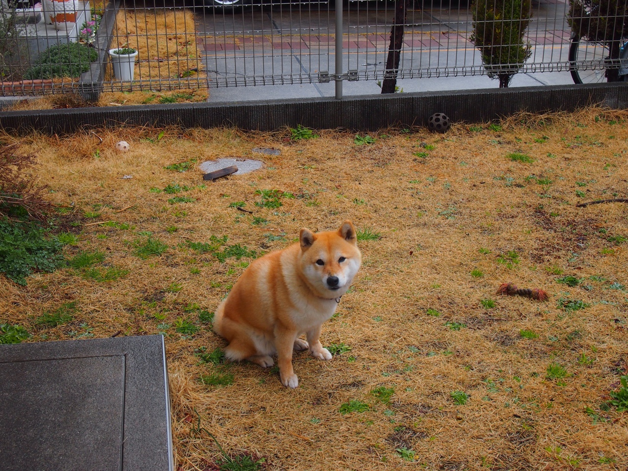 雷火电竞app-凯尔特人之夜，当吉林男篮闯入欧冠淘汰赛的奇幻焦点战