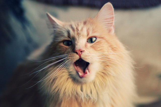 奥亚尔萨瓦尔梅开二度导演逆转,塞维利亚友谊赛力克威尔士彰显西甲锋芒