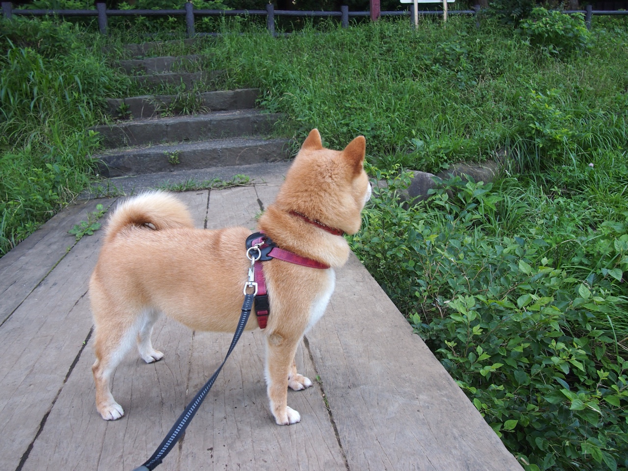 雷火电竞合作-赛前，他不在名单上，关键时刻，他又在场上