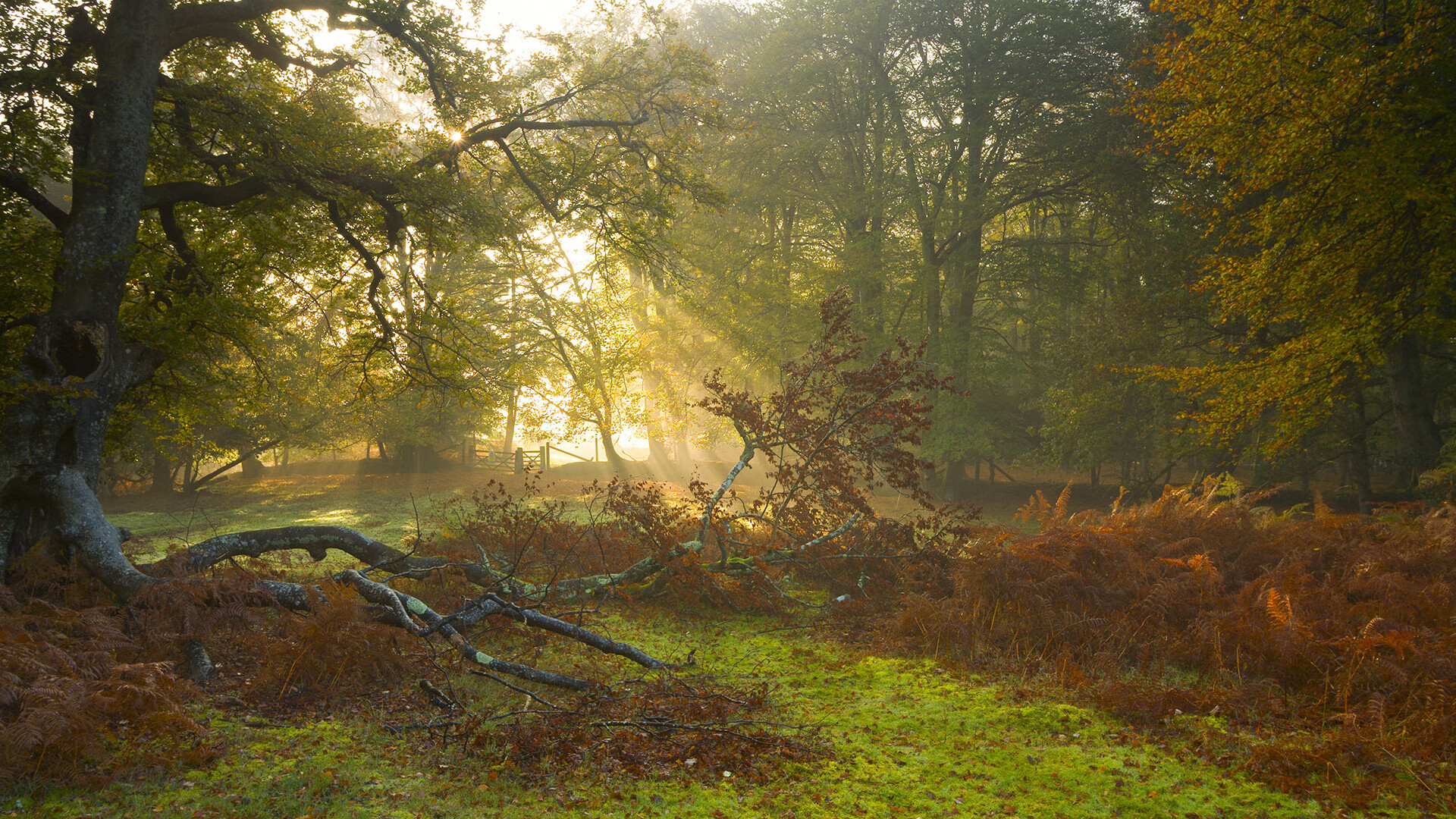 世纪对决还是时代启示录？雷霆撕裂风城，一场定义未来的新王当立之战